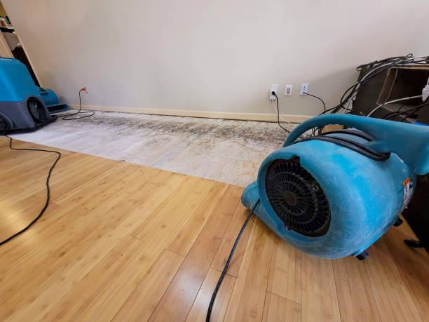Professional Flood Damage Cleanup technician working in Medford, WI